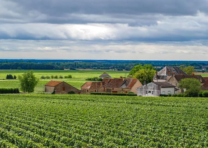 Maison Familiale Dans Village Viticole
