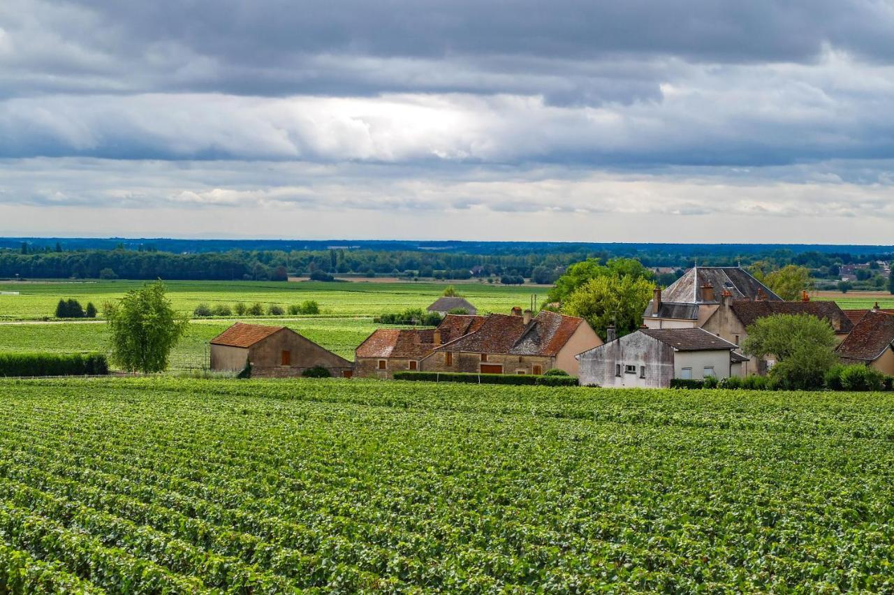 Maison Familiale Dans Village Viticole Ladoix-Serrigny